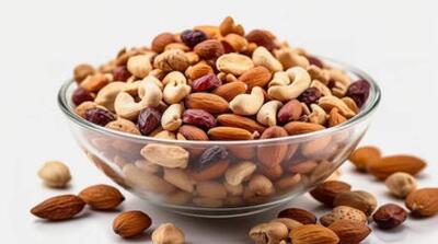 کدام مغزها بیشترین فایده را دارند؟ - مردم سالاری آنلاین