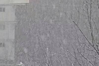 فیلم/  شدت بارش برف در شهر اسفراین