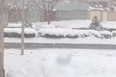 فیلم/ قوچان رخت سفید بر تن کرد