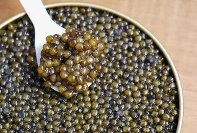 خاویار ایرانی همچنان پرطرفدار در بازارهای جهانی