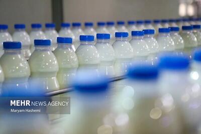 تداوم برخورد قاطع با گران‌فروشی لبنیات