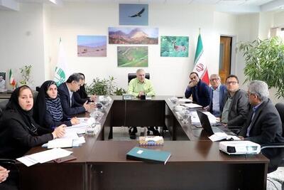 شناسایی و رفع گلوگاه‌های فساد در سازمان محیط زیست