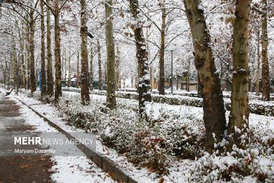 فعالیت آخرین موج بارشی در کشور؛ بارش‌های پراکنده و موقتی در ۵ استان
