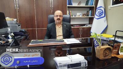 پردل: ۵۰ هزار نفر در آستانه اشرفیه تحت پوشش تأمین اجتماعی هستند