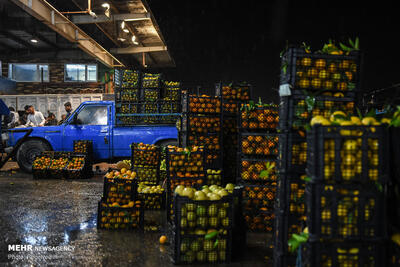 بازدید مدیرعامل سازمان تعاون روستایی ازوضعیت میوه شب یلدا در میدان بار
