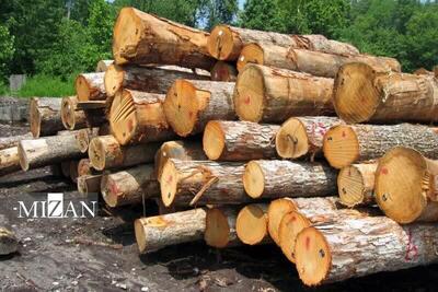 کشف ۱۵ تن چوب قاچاق و پلمب واحد متخلف در آمل