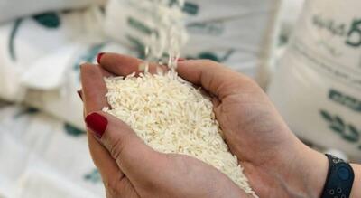 قیمت برنج امروز ۳۰ آذر ۱۴۰۴ / برنج طارم چند؟