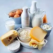 تداوم برخورد قاطع با گران‌فروشی لبنیات