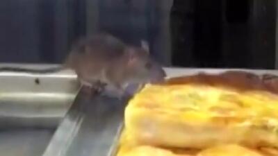  فیلم پرسه زدن موش میان سینی های شیرینی