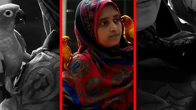  فیلم موفقیت یک زن روستایی در شبکه های اجتماعی