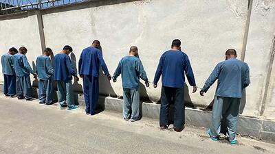 بازداشت 580 اراذل و اوباش در عملیات ضربتی پلیس غرب تهران