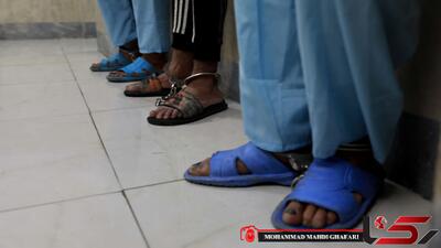 ضرب‌وشتم مرگبار در کمپ ترک اعتیاد /راز مرگ زیر درخت آرامش چه بود؟