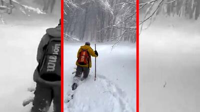  فیلم منظره رویایی برف در جنگل های دیلمان