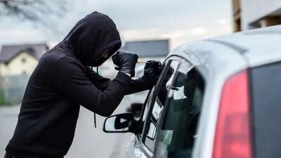 فیلم / این دزد در پارکینگ خانه ها موش می شود + پاسخ به سوال های متداول