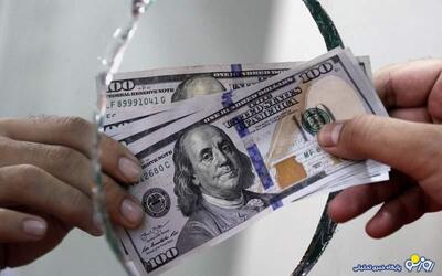 سود بانک مرکزی در افزایش قیمت دلار است!