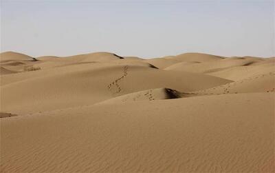 جادوی خاموش کویر و مسئولیت‌ حفظ آن