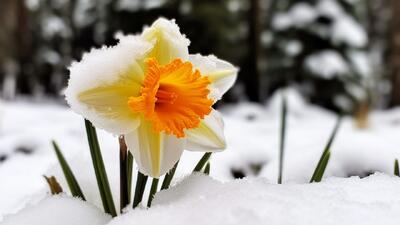 خشکسالی بالاخره تمام شد؟/ آمار مهم از بارش‌های اخیر و شرایط سدها اعلام شد