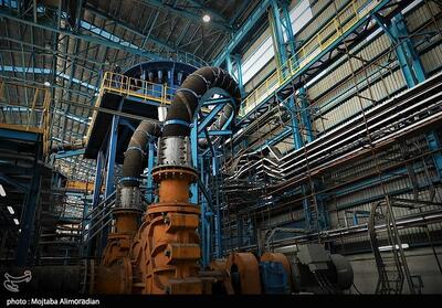 رئیس انجمن سنگ‌آهن: مشکل فولاد خاموشی‌هاست، نه صادرات! - تسنیم