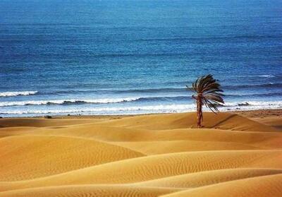 قشم؛ سمفونی نور پس از غرش ابرها - تسنیم