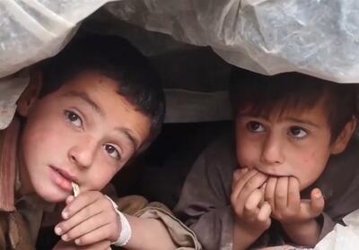 سازمان ملل: وضعیت زلزله‌زدگان شمال افغانستان با آغاز سرما وخیم است - تسنیم