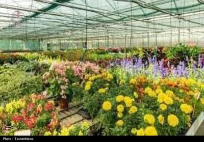 رویش پتانسیل کشاورزی روستای عباس‌آباد با توسعه گلخانه‌ای/تحقق هر خانواده یک گلخانه فیلم - تسنیم