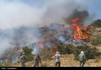 کاهش 58 درصدی آتش‌سوزی در مناطق تحت حفاظت محیط زیست کرمانشاه - تسنیم