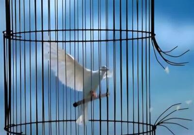 یلدای آزادی؛ مرخصی یک‌هفته‌ای 681 زندانی واجد شرایط در استان سمنان - تسنیم