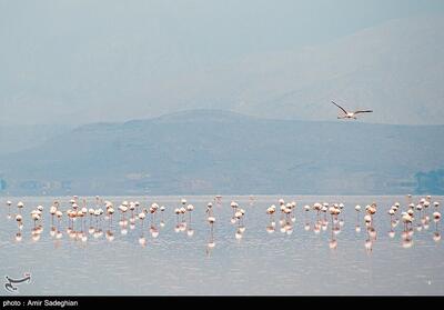جانی تازه بر تن دریاچه مهارلو
