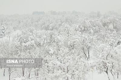 بارش شدید برف - مشهد