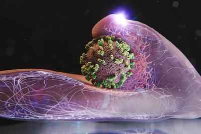 موج شدید آنفلوآنزا در کشور طی هفته جاری مهار شد