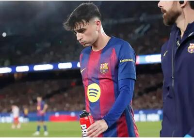  دردسر فلیک: جانشین پدری انتخاب شد