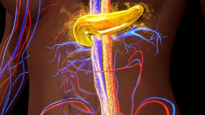  کشف نویدبخشی که می‌تواند دیابت را قبل از شروع متوقف کند