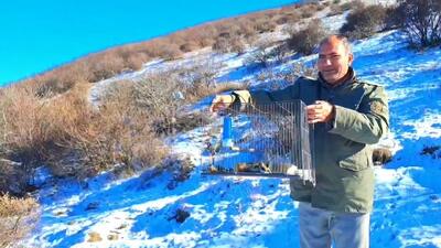  دستگیری دو صیاد متخلف غیرمجاز در هوراند