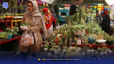 چند نکته مهم درباره بازار کاکتوس در ایران ‌