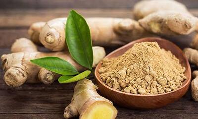  تداخلات گیاهی زنجبیل