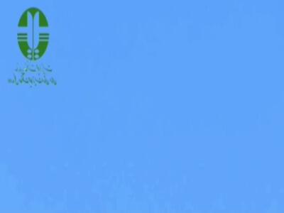 مشاهده ۲ هما در آسمان پارک ملی صیدوا