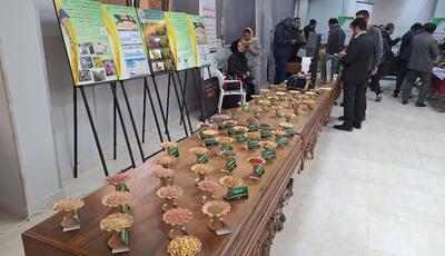  برپایی نمایشگاه کشاورزی دانش‌بنیان در قزوین