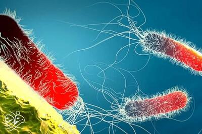 آنفلوآنزا می‌تواند کشنده باشد / عوامل خطر و عوارض جدی که نباید نادیده گرفت / توصیه‌های پزشکی برای پیشگیری و درمان