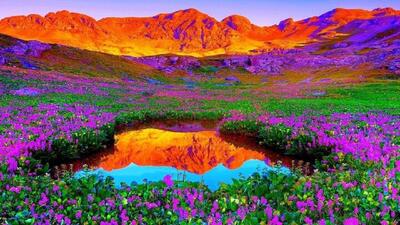  دره گل‌های جهان کجاست؟(+عکس)