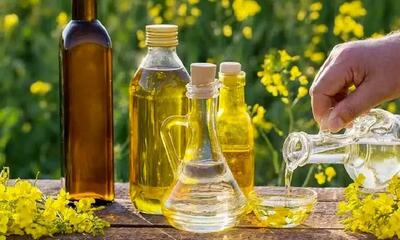 فروش پشت فاکتوری روغن؛ علت کمبود و گرانی مشخص شد