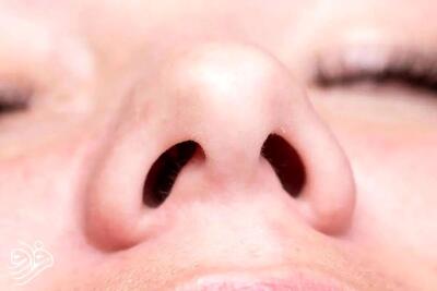 اگر فقط یک سوراخ بینی داشتیم چه می‌شد؟