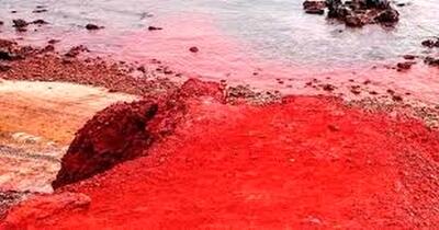 زیبایی این نقطه از ایران چشم جهان را خیره کرده است