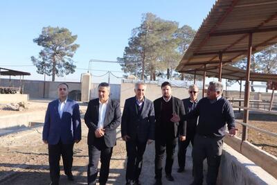  بررسی میدانی مشکلات دامپروری جرگه با هدف افزایش ظرفیت دام در شهرستان قرچک
