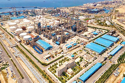 سرمایه‌گذاری پتروشیمی‌ها  برای  تامین خوراک پایدار