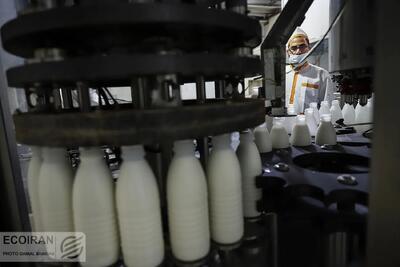 قیمت جدید شیر خام اعلام شد