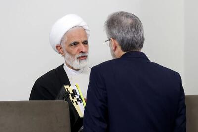 معاون رئیس‌جمهور: دوباره عده‌ای فیل‌شان یاد هندوستان کرده تا وزرا را بکوبند/ امروز امنیت ما در معرض خطر است اما بعضی می‌گویند مرغ ما یک پا دارد