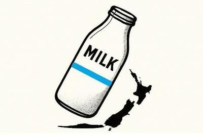 قیمت‌گذاری به اسم حمایت، لبنیات را گران کرد/ قیمت لبنیات در جهان نصف می‌شود