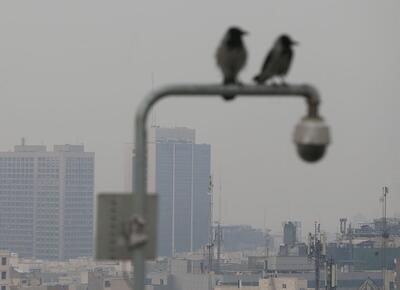 وضعیت آب و هوا، امروز ۱ دی ۱۴۰۴؛ بازگشت آلودگی هوا به شهر‌های صنعتی و پرجمعیت