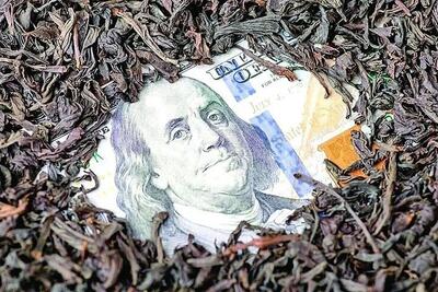 رییس دیوان عالی کشور: بیش از ۳۰ نفر از متهمان پرونده چای دبش، از جمله وزرای سابق و اسبق، درخواست اعاده دادرسی کردند که رد شد