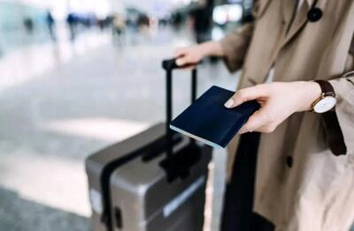 معاون وزیر علوم: بیش از هزار نفر از اساتید و پژوهشگران در ۵ سال اخیر مهاجرت کردند